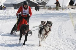 Lenk 2012 SM